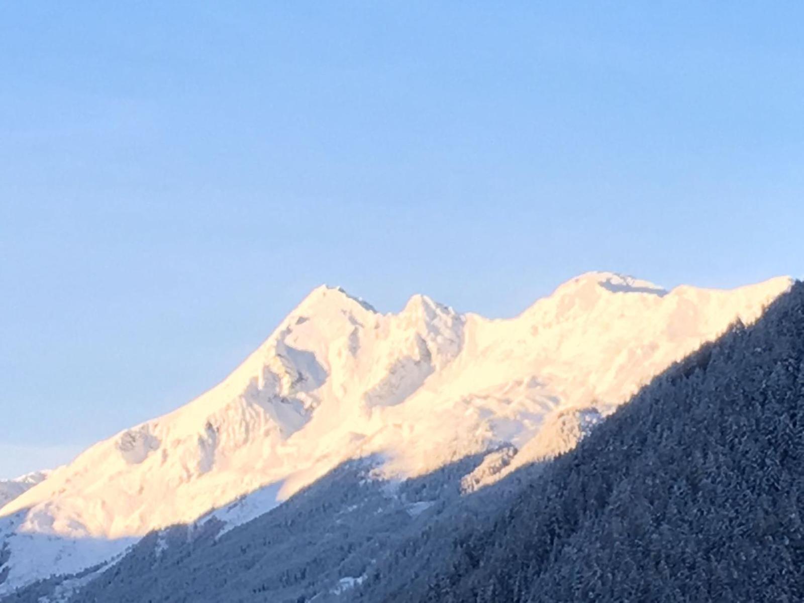 Haus Steinbock Acomodação com café da manhã Neustift im Stubaital Exterior foto